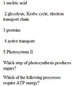 Exam 1